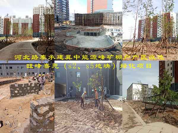 河北路泰承建冀中能源峰礦棚戶產(chǎn)區(qū)改造旺峰嘉苑（s2、s5地塊）綠化項目有序施工中